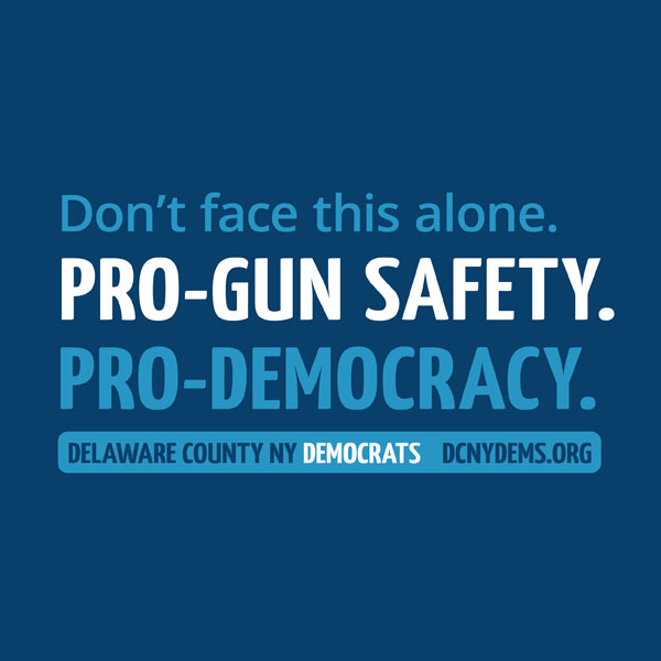 Pro-Gun Safety. Pro-Democracy.