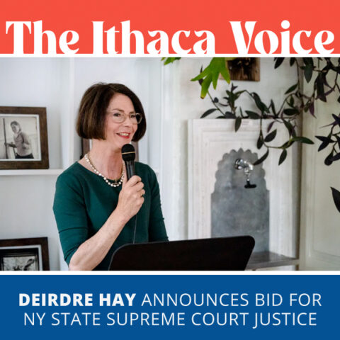Deirdre Hay announces bid for NYS Supreme Court Justice DCNY Dems Deirdre Hay announces bid for NYS Supreme Court Justice DCNY Dems