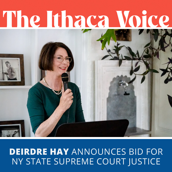 Deirdre Hay announces bid for NYS Supreme Court Justice