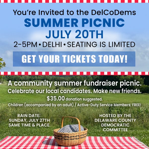 DelCoDem Summer Picnic