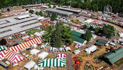 See us at the Walton Fair